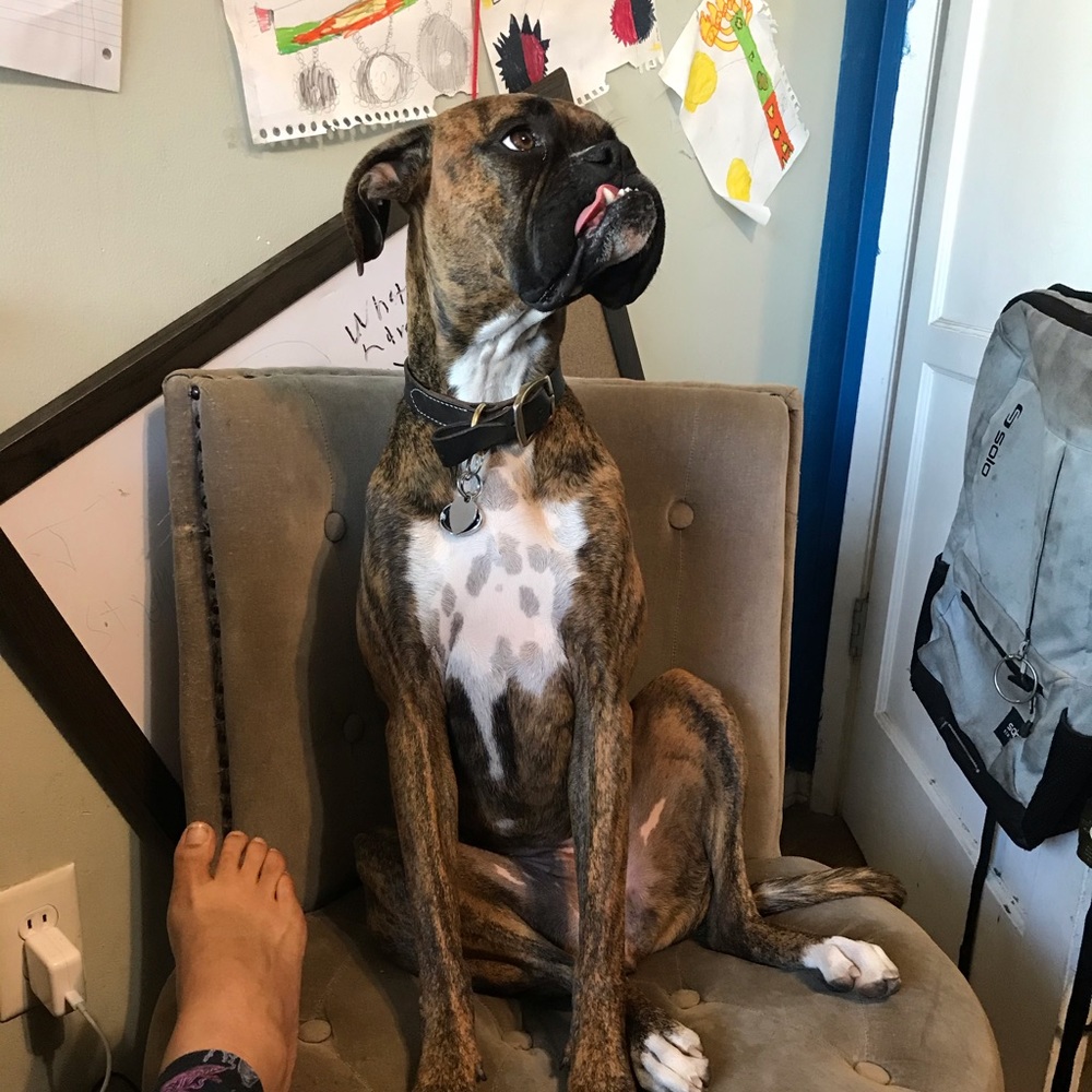 Meet your Posher, Carrie